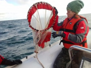 Muestreo de zooplancton. Parque Interjurisdiccional Marino Costero Patagonia Austral.
