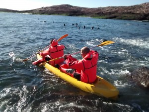 Apoyo logístico a la investigación científica. Parque Interjurisdiccional Marino Costero Patagonia Austral.