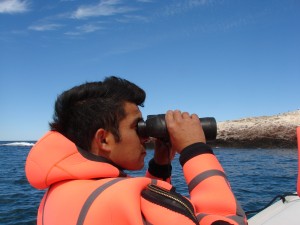 Conteo de colonia de Cormorán Imperial. Parque Interjurisdiccional Marino Costero Patagonia Austral.