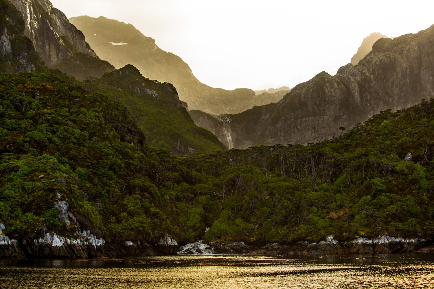 La Isla de los Estados fue declarada Reserva Natural Silvestre