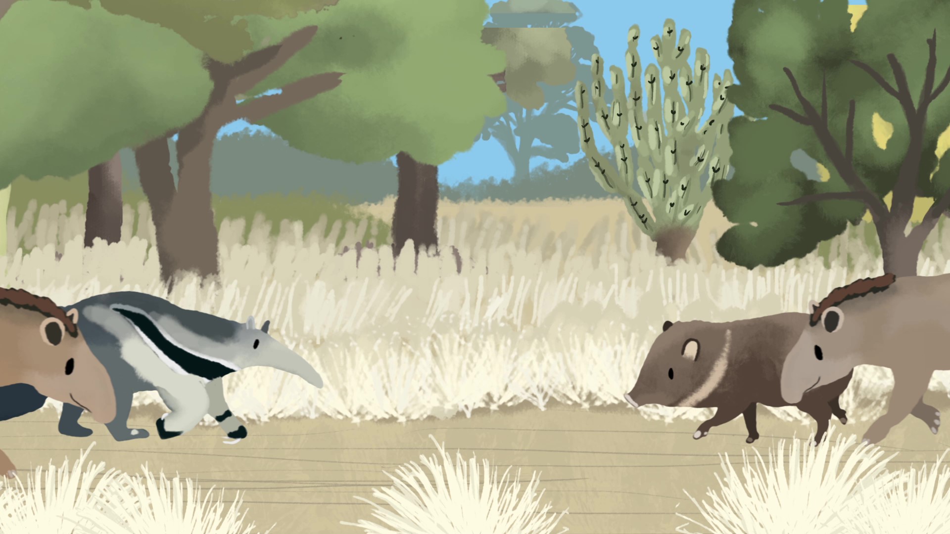 Corto animado sobre los corredores de conservación | SIB, Parques Nacionales, Argentina Corto animado sobre los corredores de conservación | SIB, Parques Nacionales, Argentina