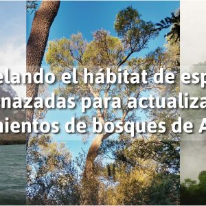 Modelando el hábitat de especies amenazadas para actualizar los ordenamientos de bosques de Argentina