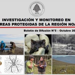 Sexto Boletín de Difusión “Investigación y Monitoreo en Áreas Protegidas de la Región NOA”