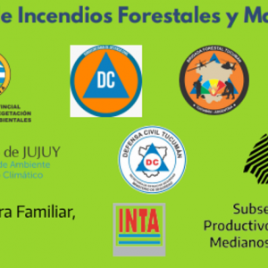 Mesa de Prevención de Incendios Forestales y Manejo del Fuego del NOA