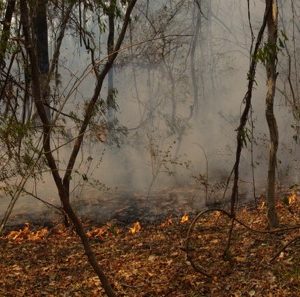 Visores de incendios en las Áreas Protegidas Nacionales del NOA