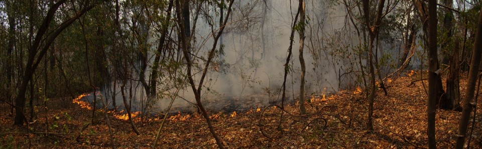 Visores de incendios en las Áreas Protegidas Nacionales del NOA