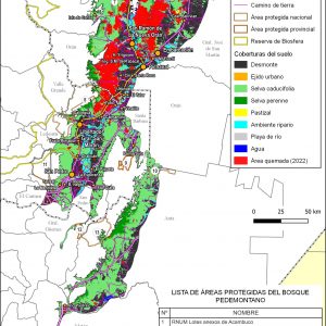 El Bosque Pedemontano en llamas