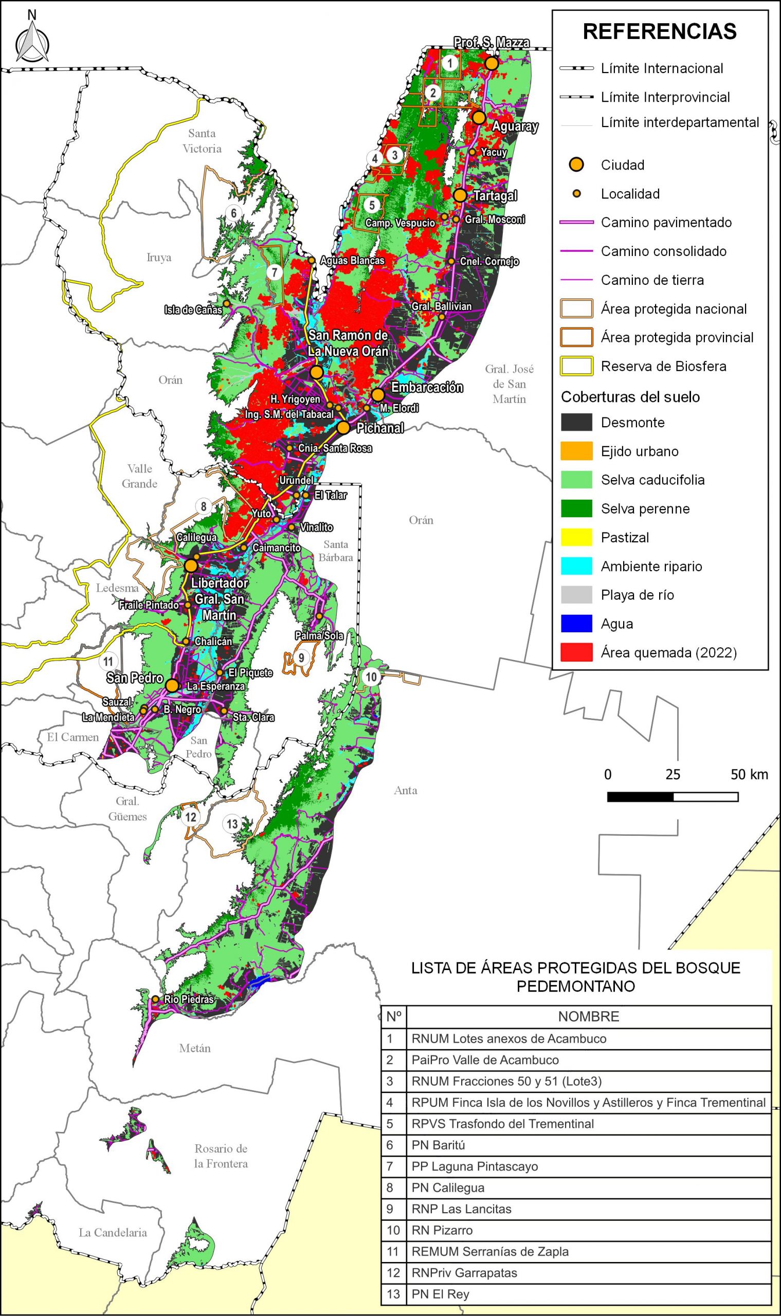 El Bosque Pedemontano en llamas