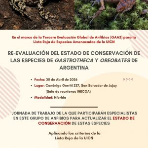 Especialistas avanzan en la re-evaluación del estado de conservación de anfibios de los géneros Gastrotheca y Oreobates